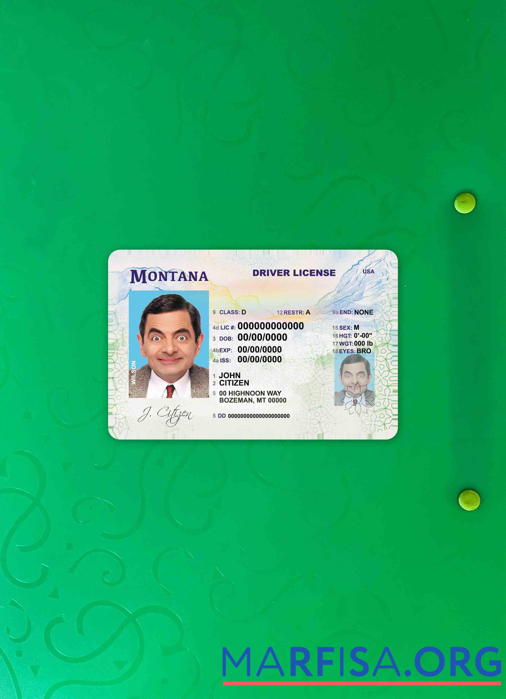 Blank USA Montana DL photolook download for verification